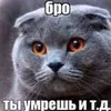 6_lyntiki_7