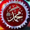 user73500692661818