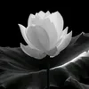 rlshhieu