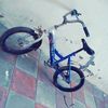 ramiz41582