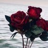 narimane.narimane90