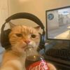 hel_luvmykatter
