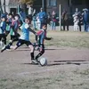vicentescarzo