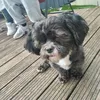 chloe.wild23