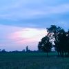 md.mahtab90