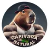 Capivara Natural