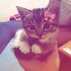 rtail.ch