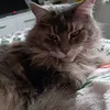 synke.soyka