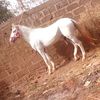 user1851011384424