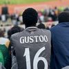 gustoo_16