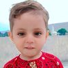jahangeer.saab