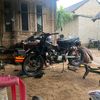 rynz067