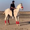 TALAQ🐎.