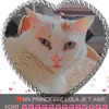 francemartin5