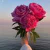 liliia7054