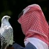 alsaarim511