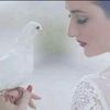 coupsdecoeur7