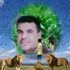 hcdgjhbchk1