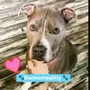 dunnothepitty