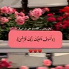 om_s_2023