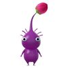 purple_pikmin_