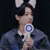 huaneri