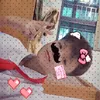 hazz.com07