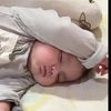 topibebekk