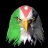 shadikhalaileh588
