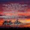 user8052303701074