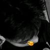 byacuote