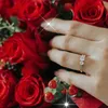 batool.mohammed72