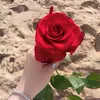 _zakhoy80