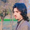 shakildawar50