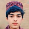 doshmandarhissam1