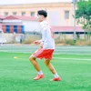 vaydihaa