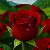 user8697176699085