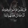 mohamdmo85
