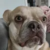 yoryb1