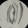 dkrttt235