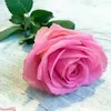 amal.mohsen.alrub