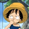 luffyonepiece556