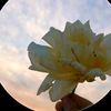 rayan44929