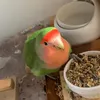 mvatn