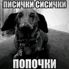qsnickerq