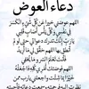 user860395774631
