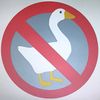 untitle_goose2