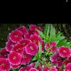 user470001404