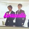 kirasedts