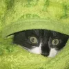 kittytrommen